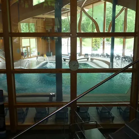 4-8 Bed Deluxe Garden Apt In Baths + Summer Multipass Val dʼIlliez
